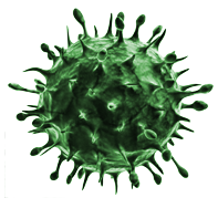 Blog virus